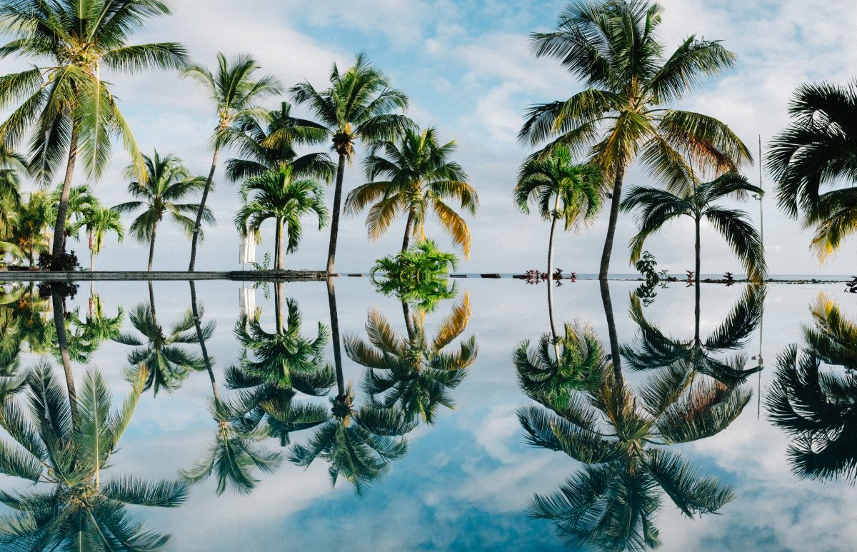 De reflectie van palmbomen in het zwembad